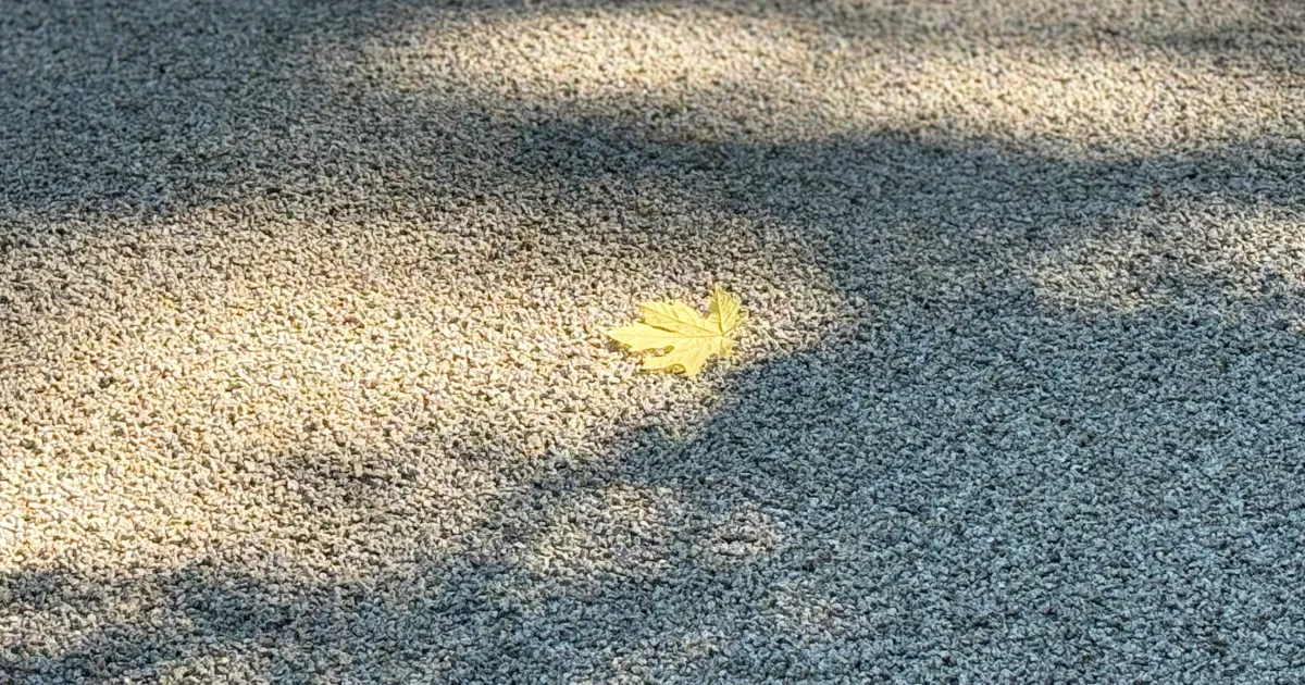 A Fallen Leaf as an Unforeseen Event – To Speak Online Japanese garden representing the Poetry of Charles Randolph Little Big Things