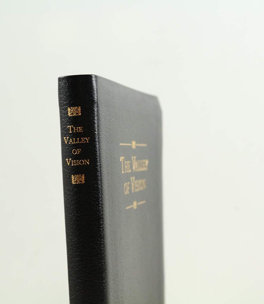 Version 100 – To Speak Online Close-up of a black hardcover book titled 'The Valley of Vision' in gold lettering on the spine, angled against a light background.