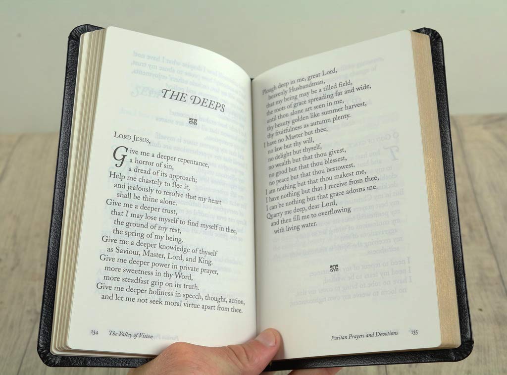 Version 100 – To Speak Online Open book on a wooden table, held by a hand, showing pages with a chapter titled 'THE DEEPS' and prayer-like text.