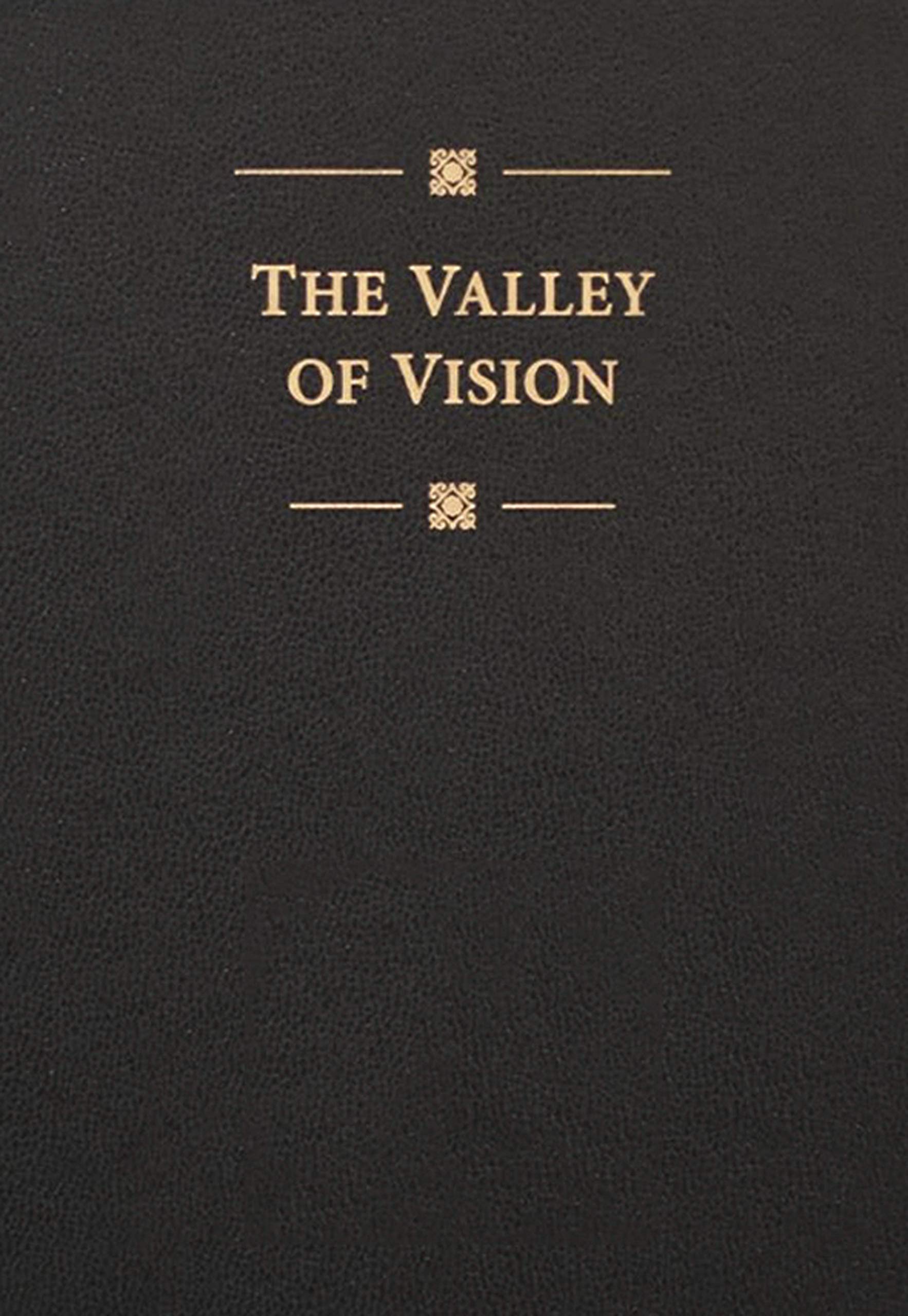 Version 100 – To Speak Online Book cover featuring the title 'The Valley of Vision' in gold lettering with decorative lines and small ornamental square on a black textured background.