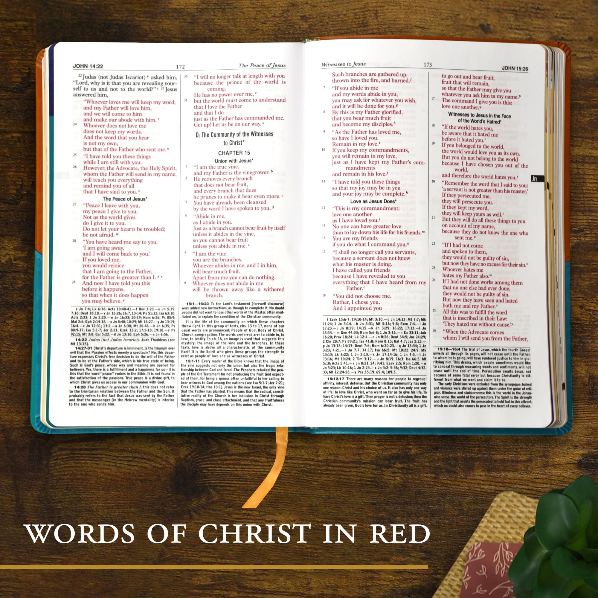 Version 100 – To Speak Online Open Bible on a wooden table with red-letter text and a bottom overlay reading 'WORDS OF CHRIST IN RED'.