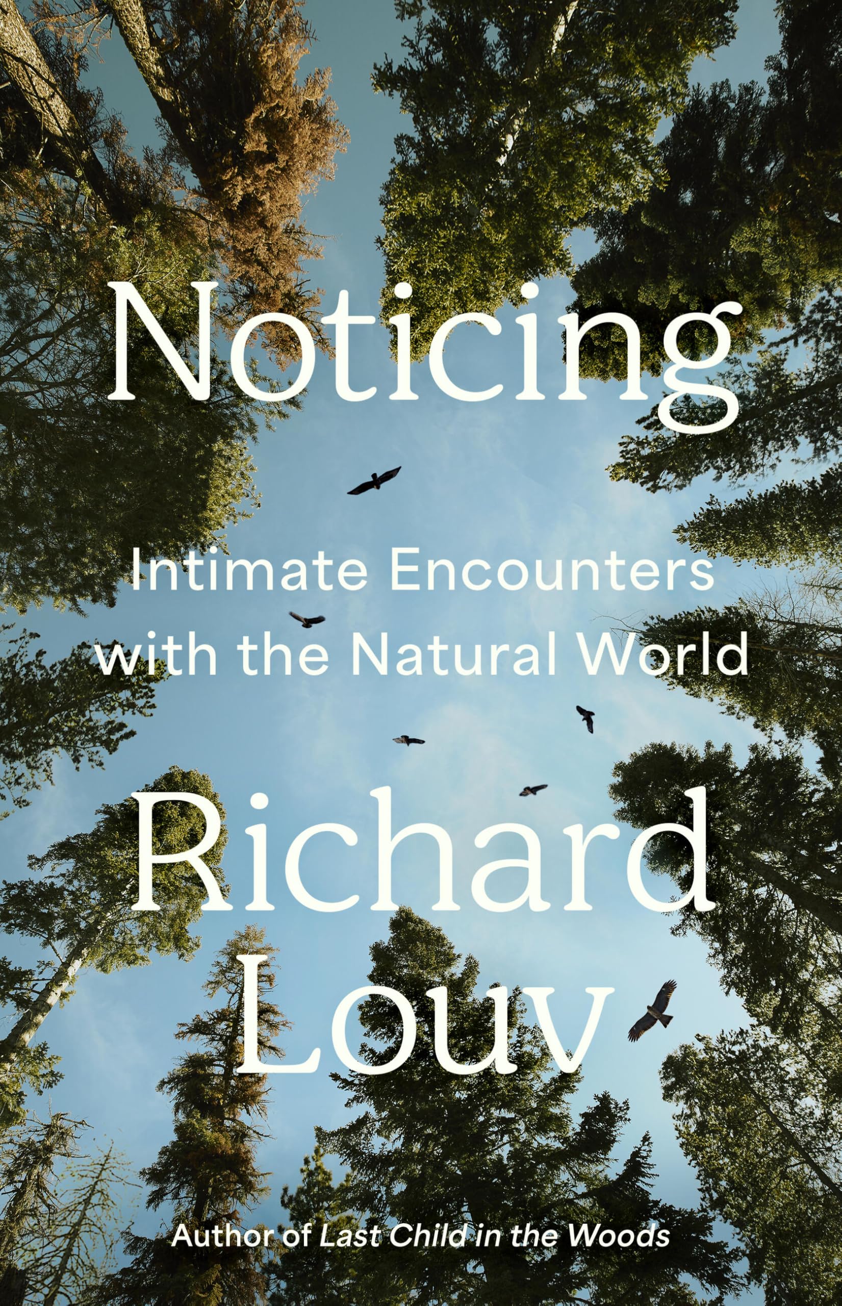 Version 100 – To Speak Online Book cover: Noticing—Intimate Encounters with the Natural World by Richard Louv; treetops against a blue sky with birds in flight.